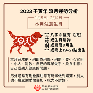 2023年1月生肖注意-狗