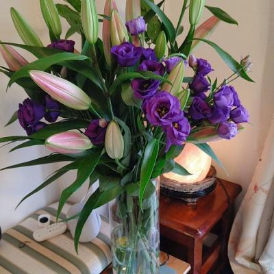 天使靈氣1&2階工作坊(基隆場) 第九梯次